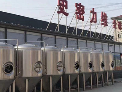 蓬江精酿啤酒设备厂—市场规模与跨界新需求